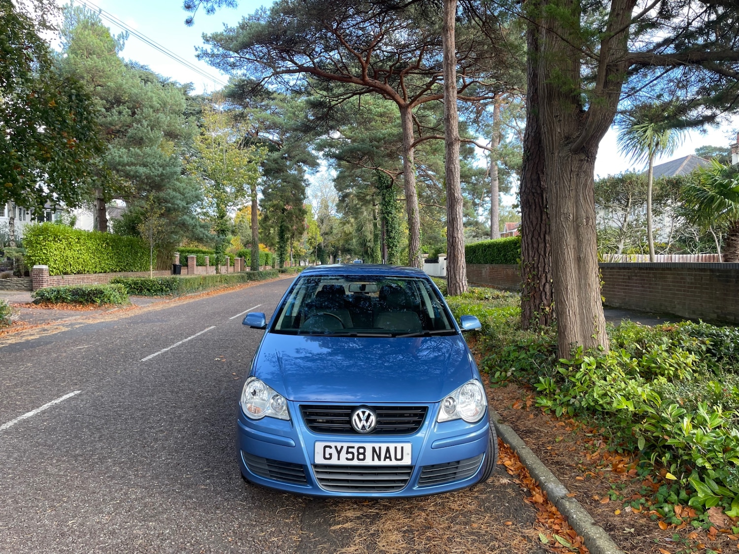 Used Volkswagen Polo 2008 for sale - 76364765: Photo 10