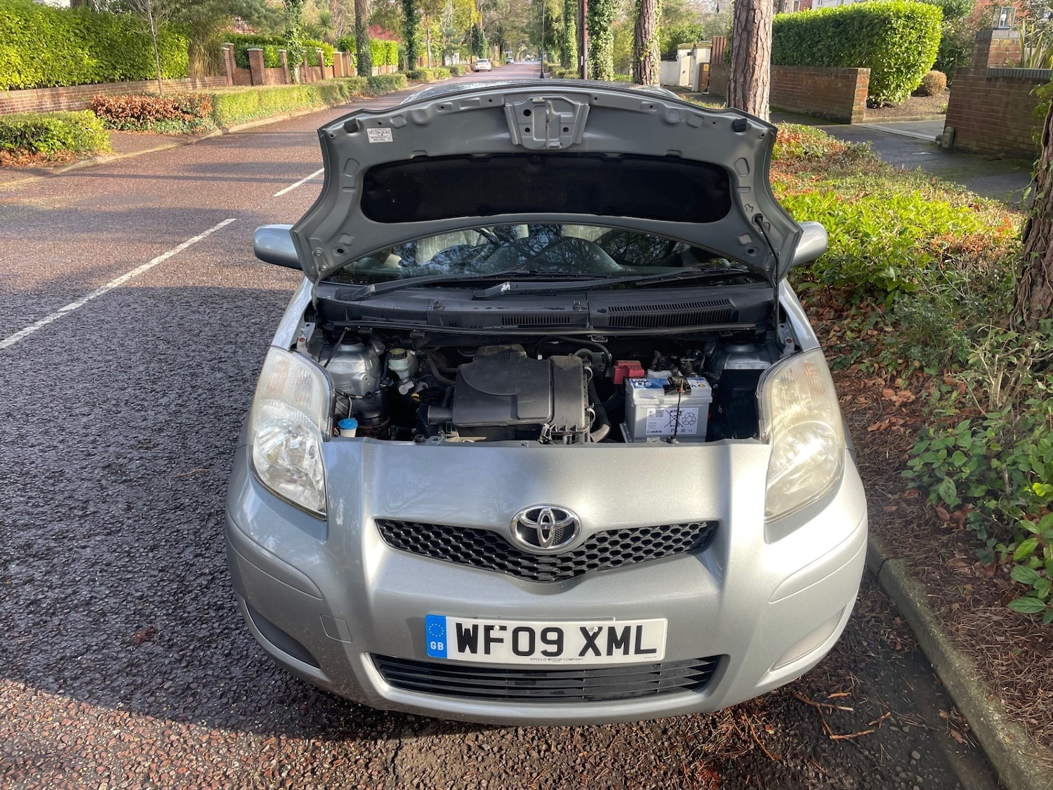 Used Toyota Yaris 2009 for sale - 77431443: Photo 7