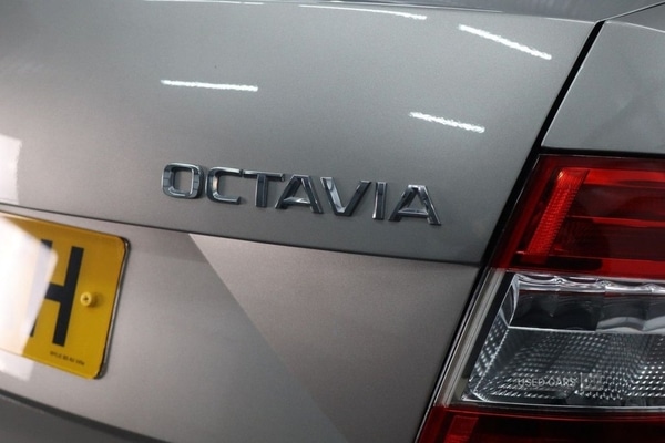 Used Skoda Octavia 2015 for sale - 77009106: Photo 13