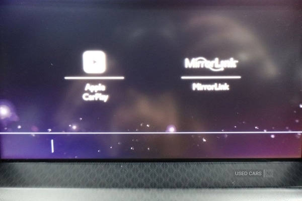 Used DS Automobiles DS 4 2017 for sale - 76977205: Photo 49