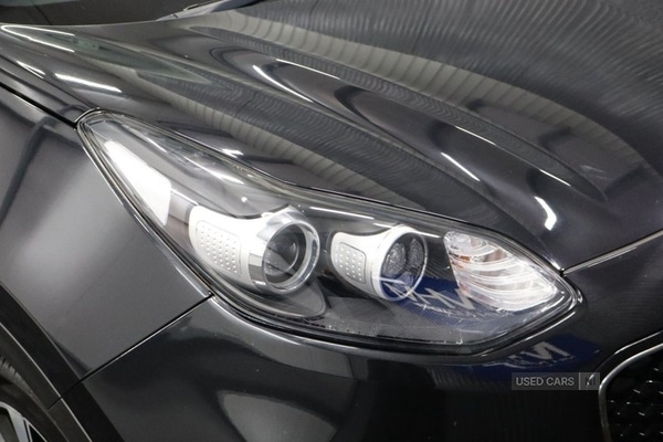 Used Kia Sportage 2017 for sale - 77021574: Photo 14