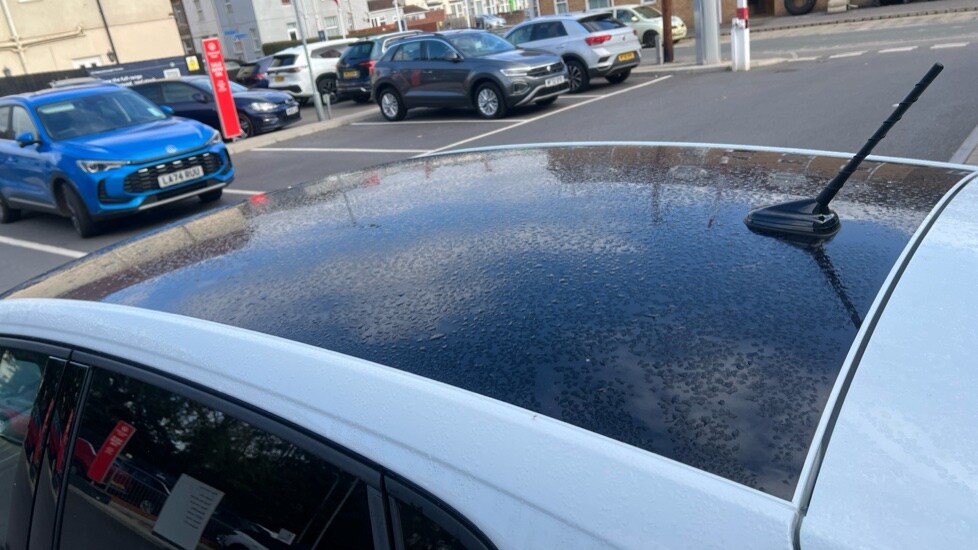 Used Volkswagen Polo 2025 for sale - 76552449: Photo 41