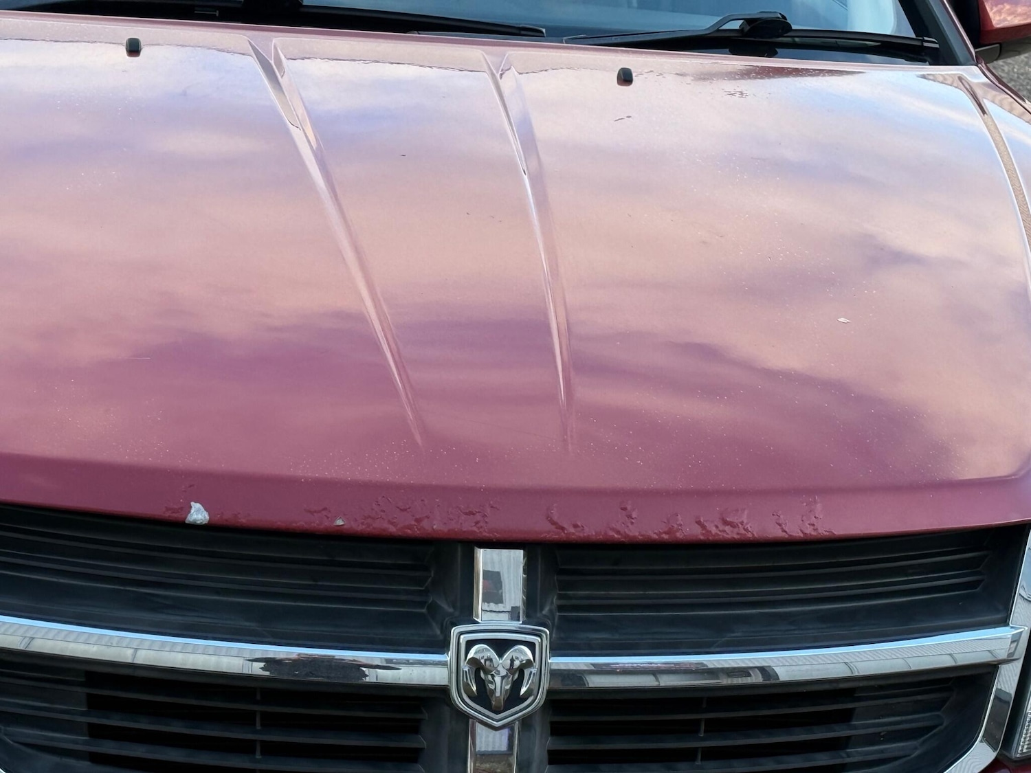 Used Dodge Avenger 2008 for sale - 76521539: Photo 20