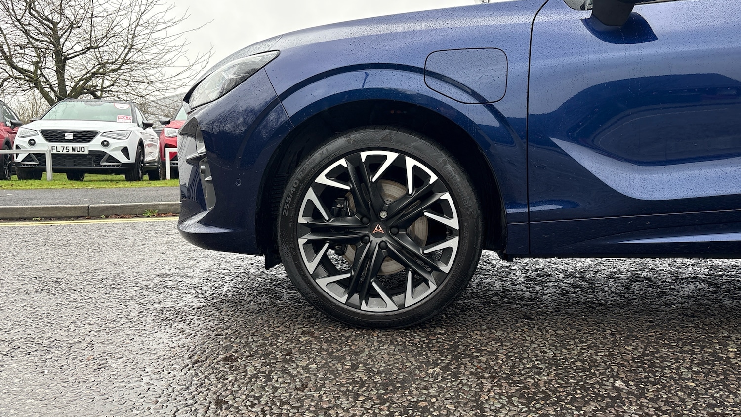 Used Cupra Terramar 2025 for sale - 77170276: Photo 5