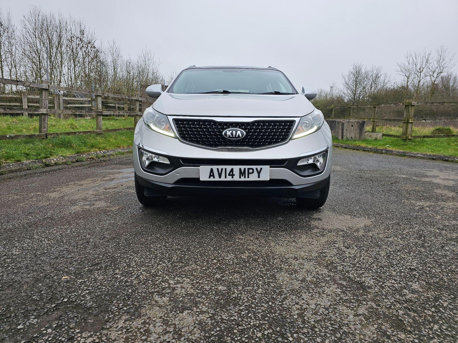 Used Kia Sportage 2014 for sale - 77793793: Photo 11