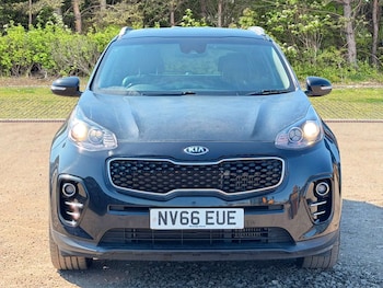 Used Kia Sportage 2016 for sale - 79263712: Photo