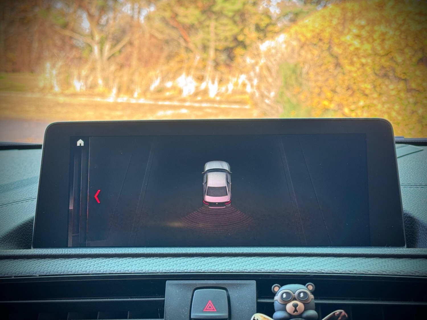 Used BMW M2 2018 for sale - 77040470: Photo 32