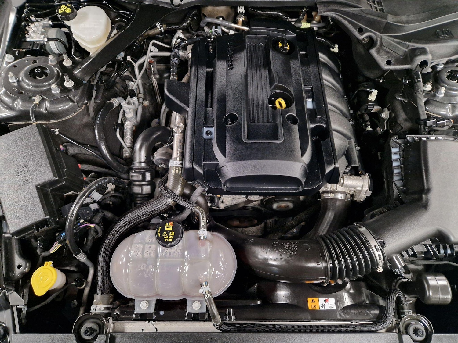 Used Ford Mustang 2017 for sale - 76831737: Photo 15