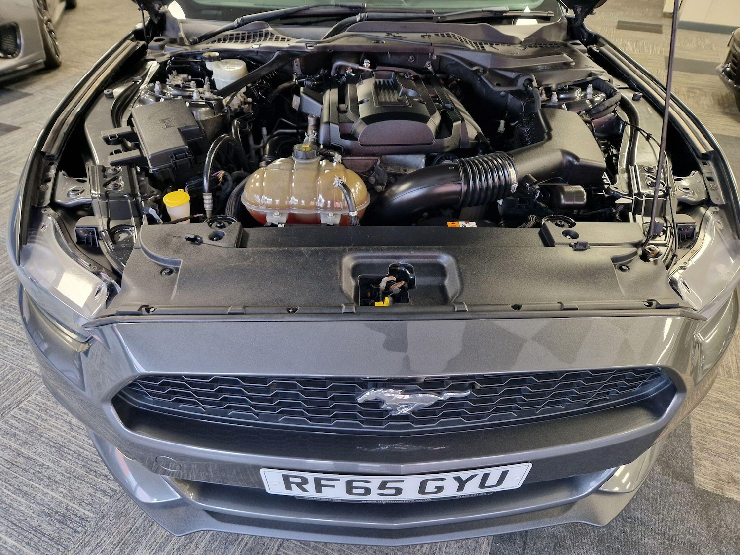 Used Ford Mustang 2015 for sale - 77564705: Photo 15