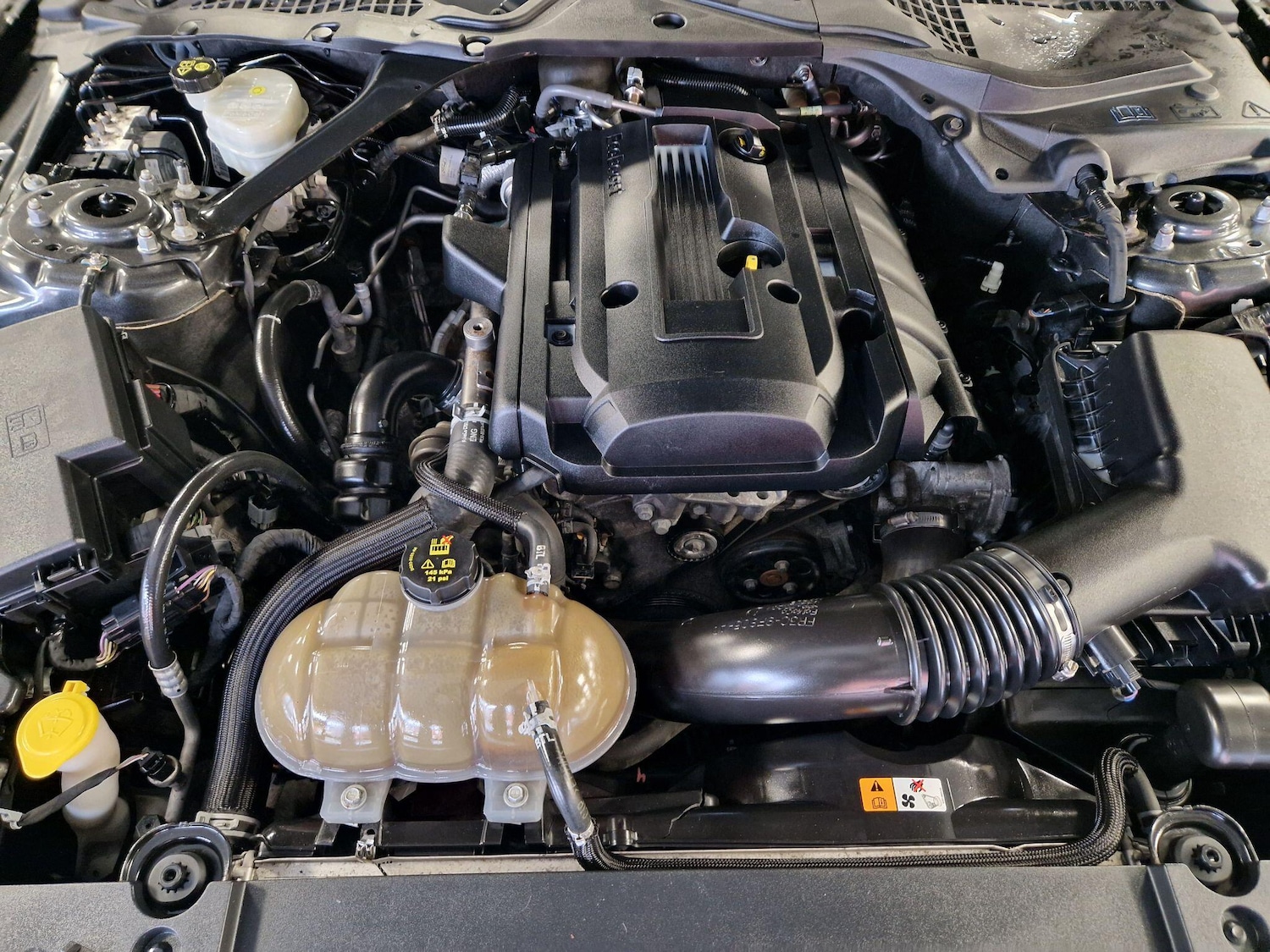 Used Ford Mustang 2015 for sale - 77564705: Photo 16