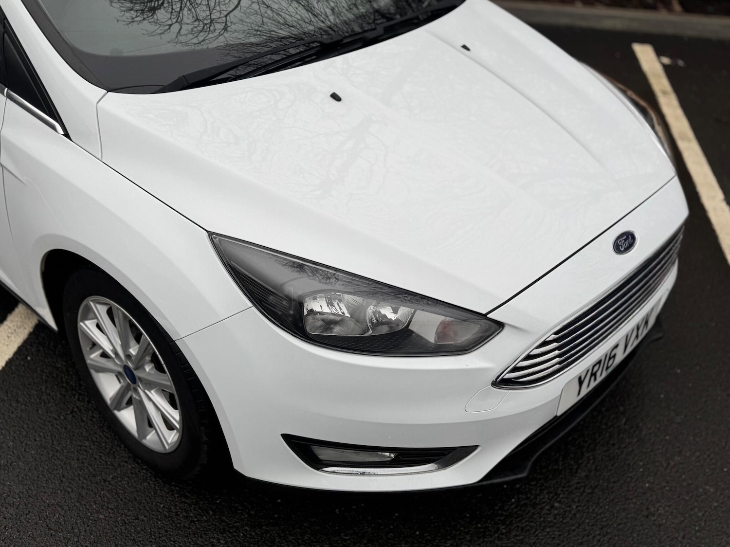 Used Ford Focus 2016 for sale - 77255346: Photo 23