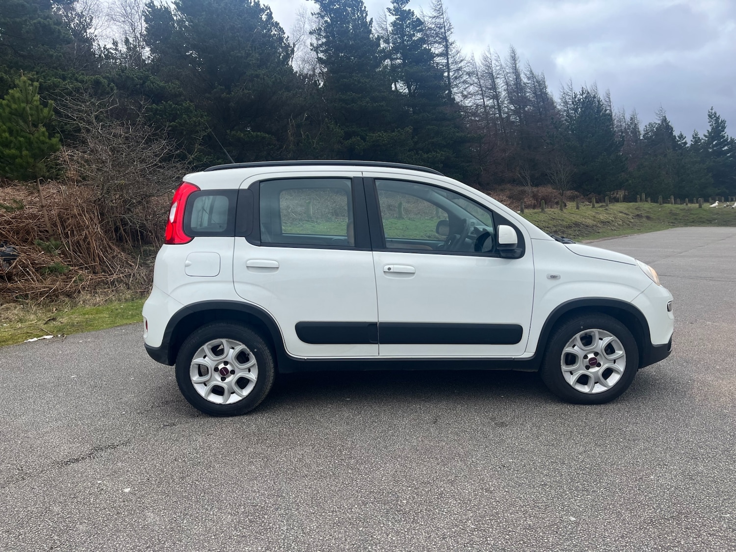 Used Fiat Panda 2014 for sale - 77819114: Photo 3