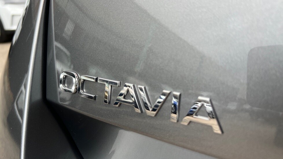 Used Skoda Octavia 2024 for sale - 75934723: Photo 33