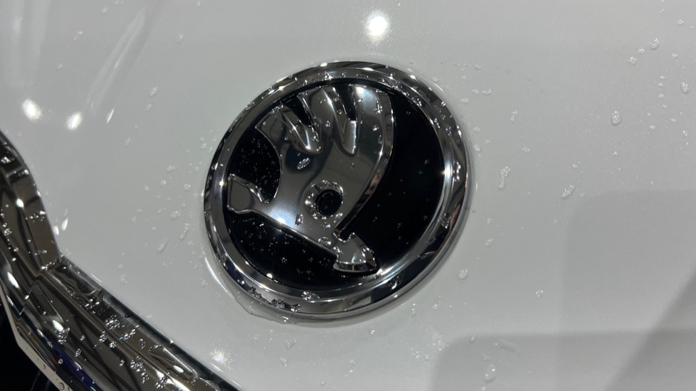 Used Skoda Fabia 2024 for sale - 76870519: Photo 38