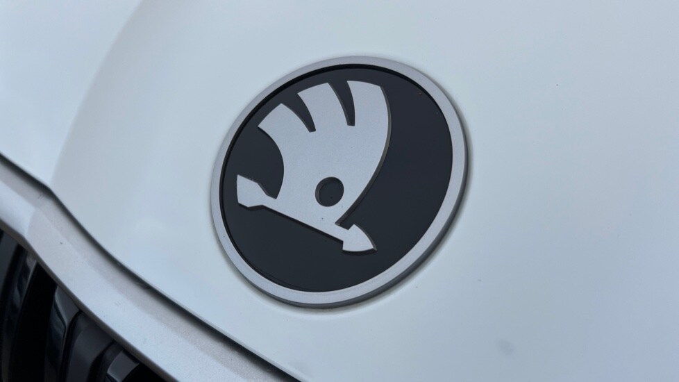 Used Skoda Kodiaq 2024 for sale - 76870734: Photo 42