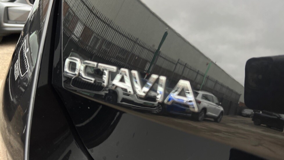 Used Skoda Octavia 2025 for sale - 76195939: Photo 33