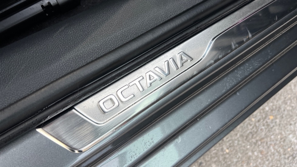 Used Skoda Octavia 2025 for sale - 76869919: Photo 45