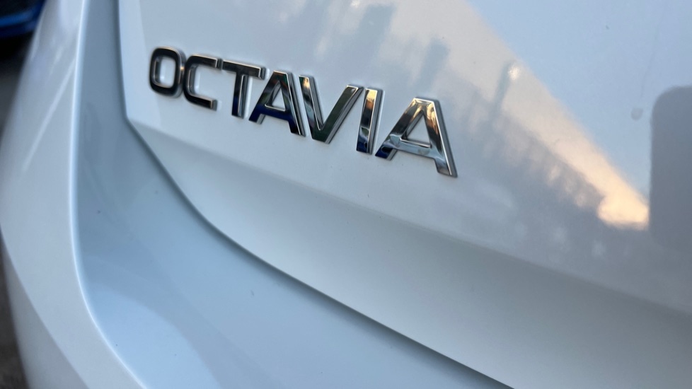 Used Skoda Octavia 2024 for sale - 76874047: Photo 31