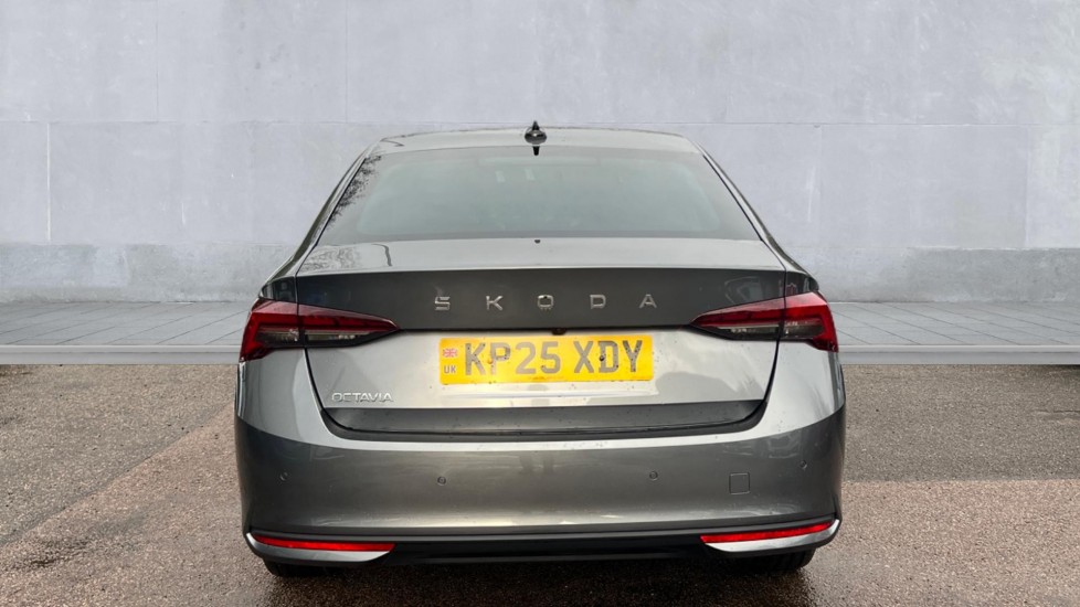 Used Skoda Octavia 2025 for sale - 76901291: Photo 11