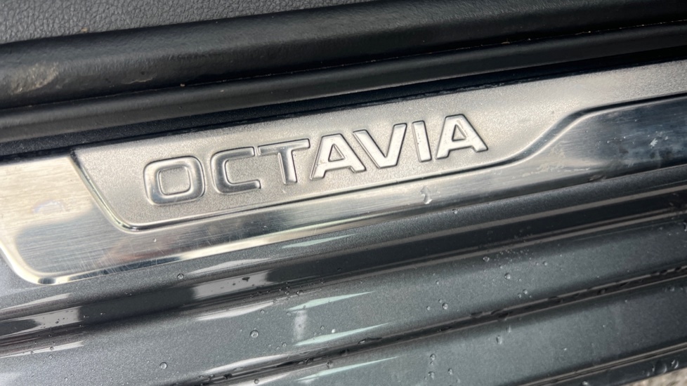 Used Skoda Octavia 2025 for sale - 76901291: Photo 47