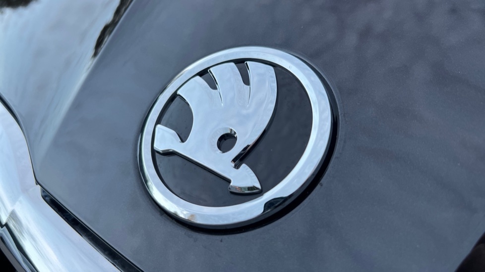 Used Skoda Fabia 2024 for sale - 76873884: Photo 38