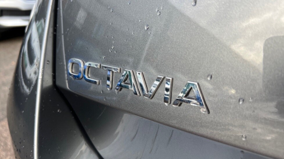 Used Skoda Octavia 2024 for sale - 76873559: Photo 33