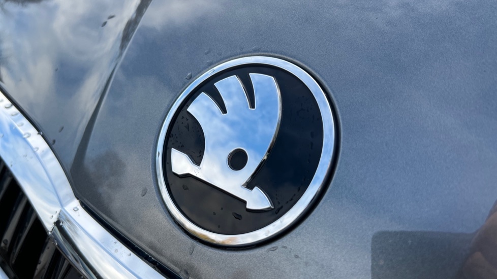 Used Skoda Octavia 2024 for sale - 76873559: Photo 41