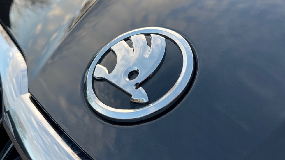 Used Skoda Fabia 2025 for sale - 76872448: Photo 37