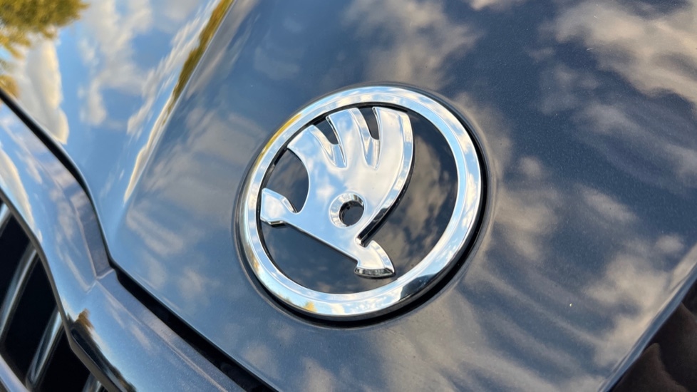 Used Skoda Fabia 2025 for sale - 76442101: Photo 39