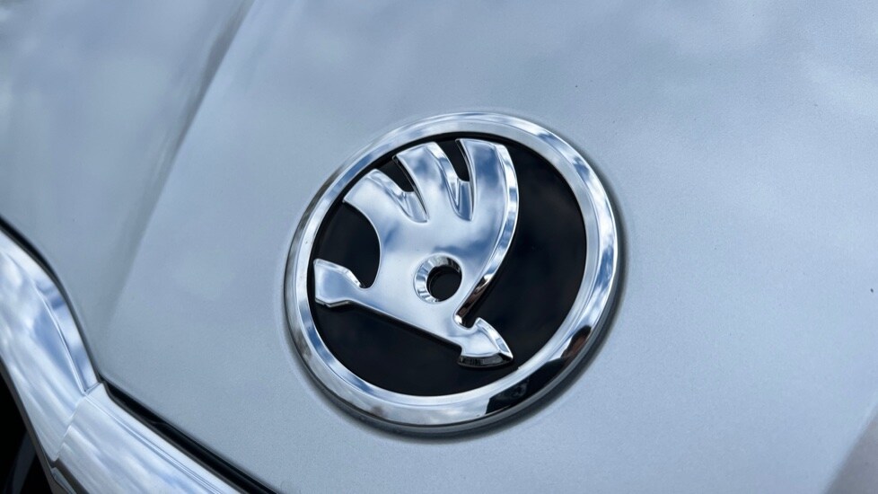 Used Skoda Fabia 2024 for sale - 76870732: Photo 38