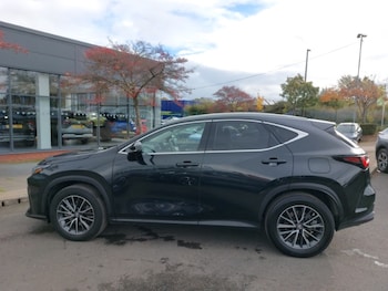 Used Lexus NX 2022 for sale - 76348543: Photo