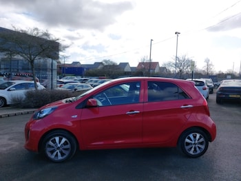 Used Kia Picanto 2017 for sale - 77823171: Photo