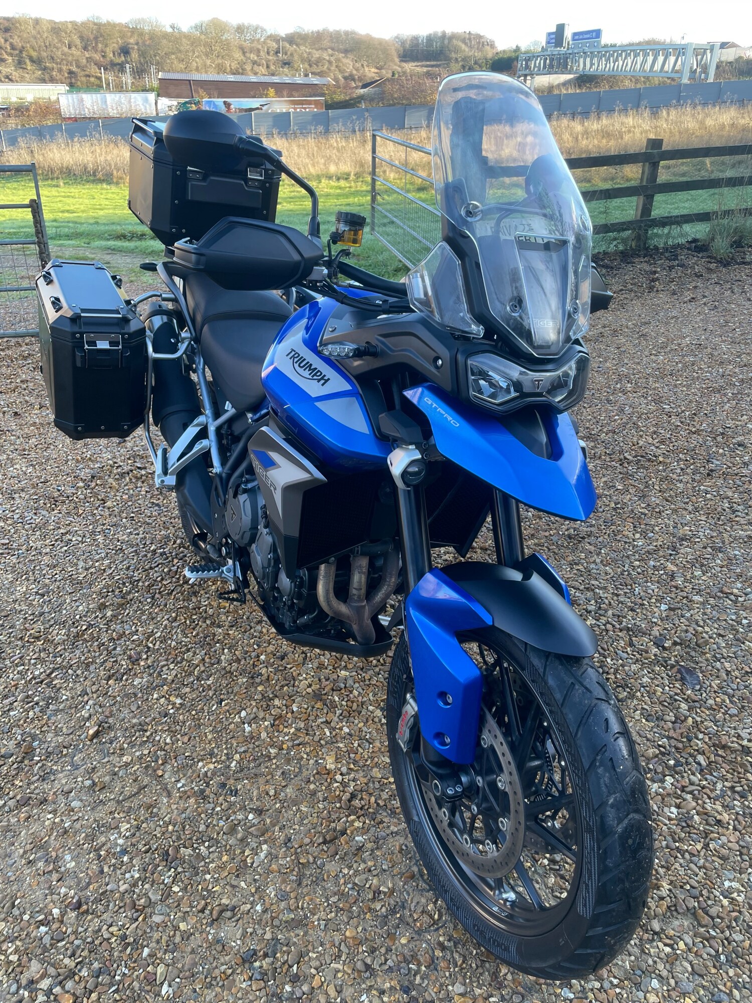 Triumph TIGER