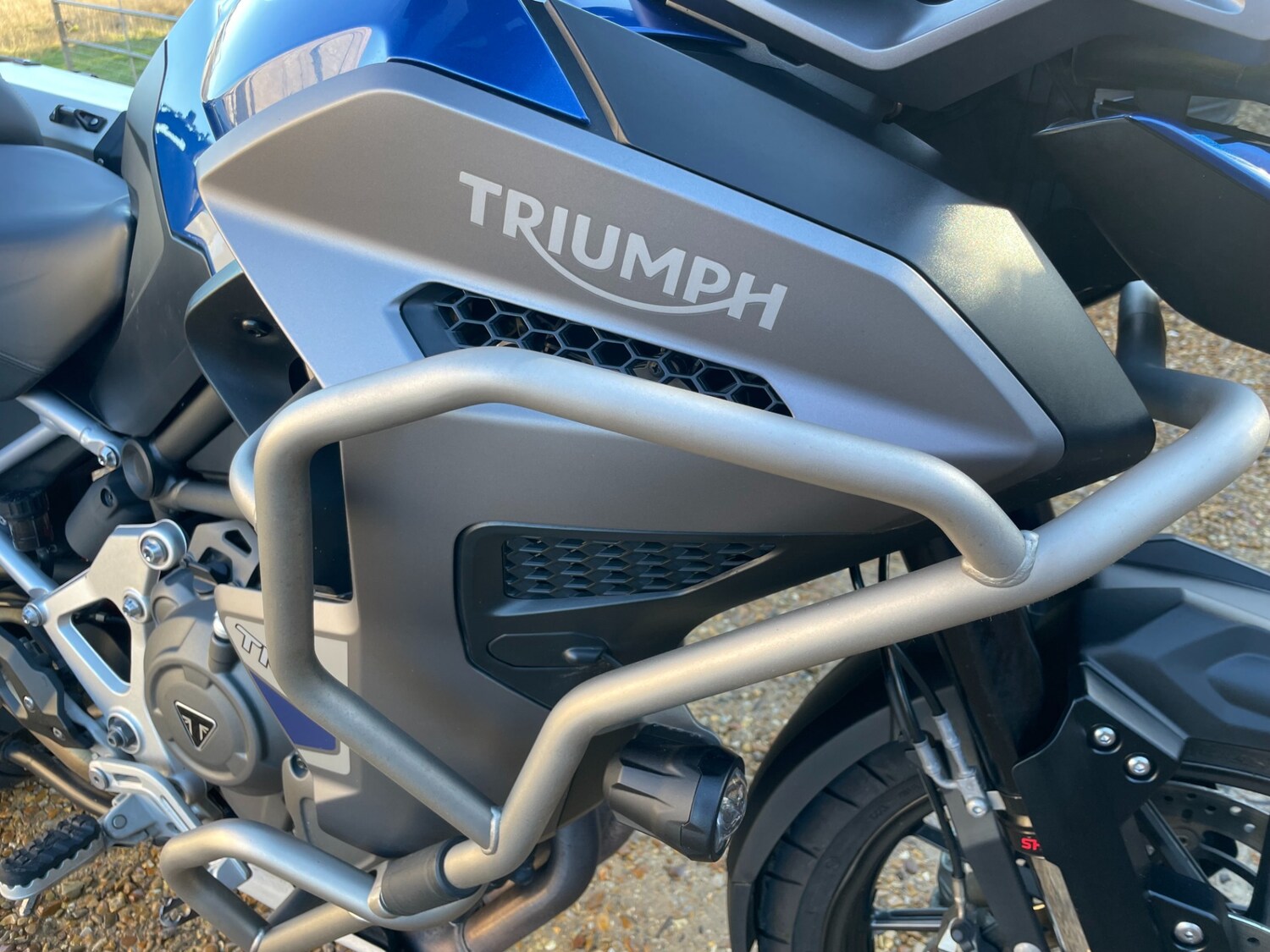 Triumph TIGER