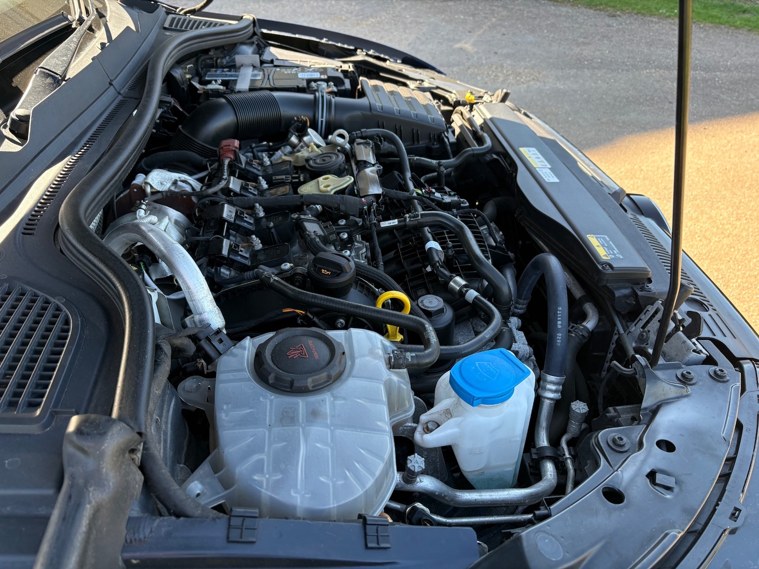 Used Volkswagen Golf 2023 for sale - 77661979: Photo 34