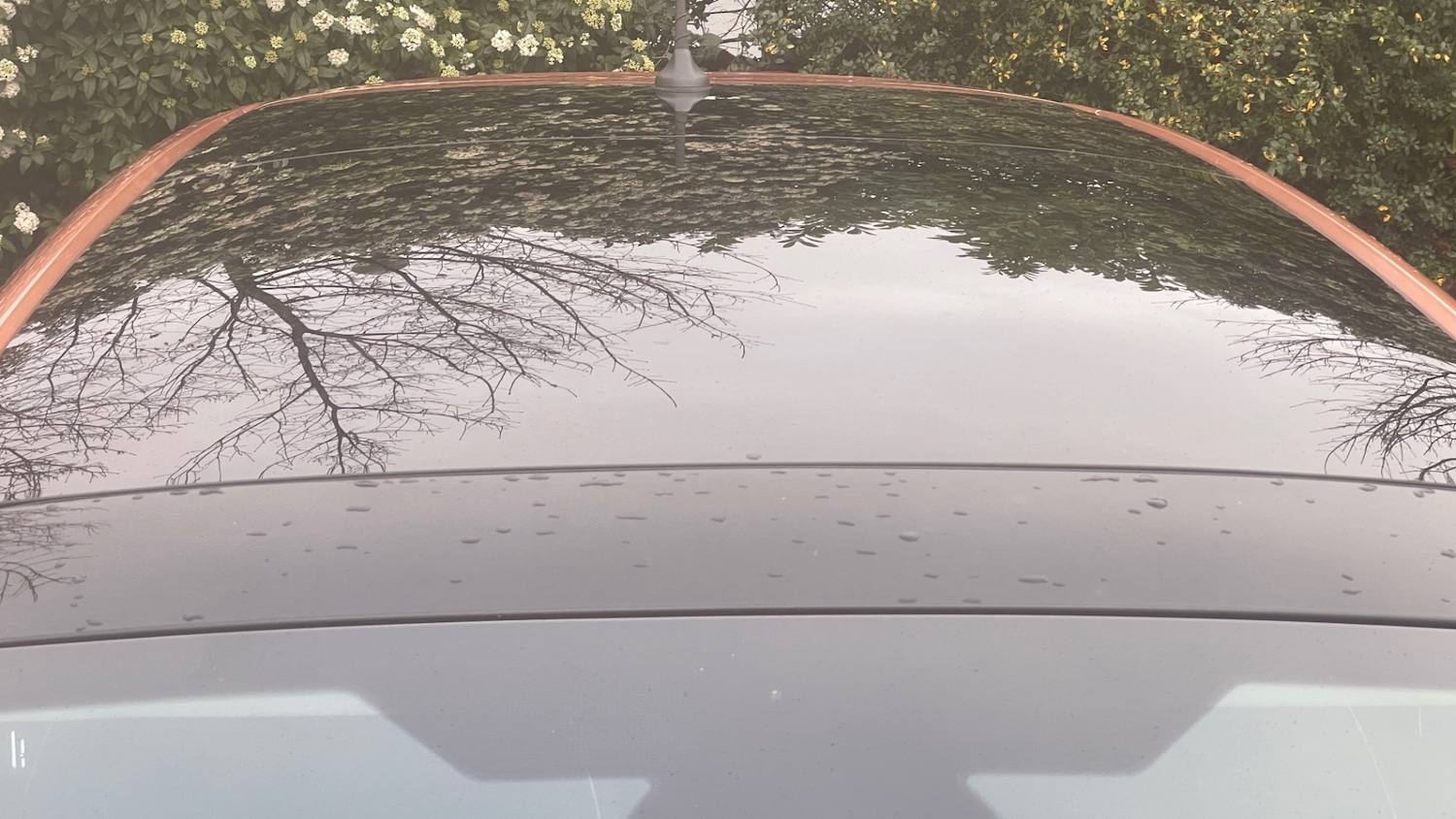 Used Ford Fiesta 2018 for sale - 77560054: Photo 27