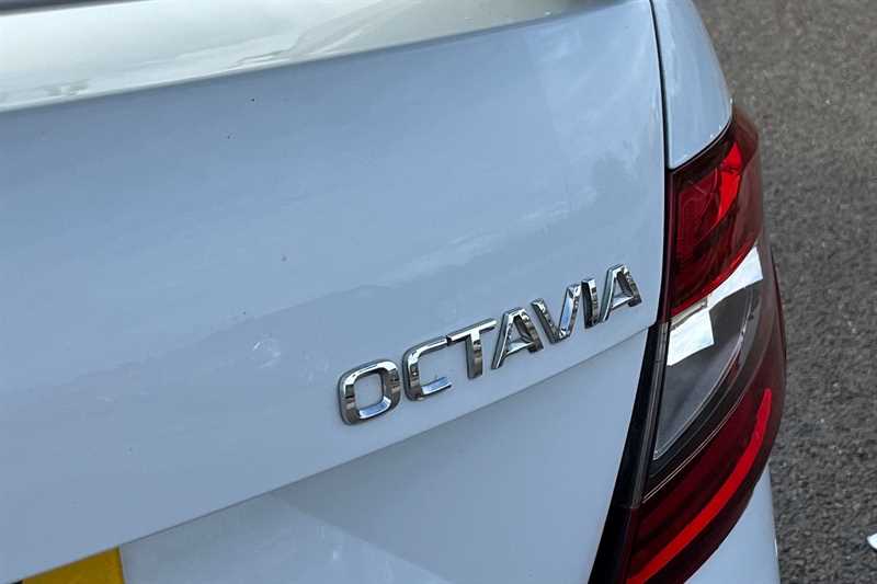 Used Skoda Octavia 2019 for sale - 76339037: Photo 27