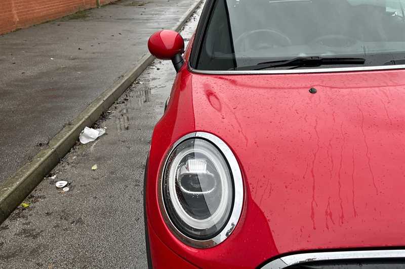 Used MINI Convertible 2019 for sale - 77146439: Photo 38