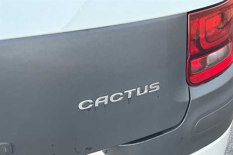 Used Citroen C4 Cactus 2018 for sale - 76459187: Photo 27