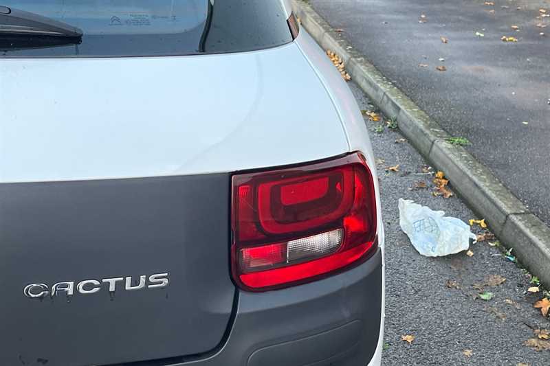 Used Citroen C4 Cactus 2018 for sale - 76459187: Photo 30