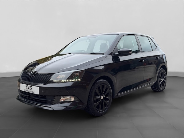 Used Skoda Fabia 2016 for sale - 76030807: Photo 10