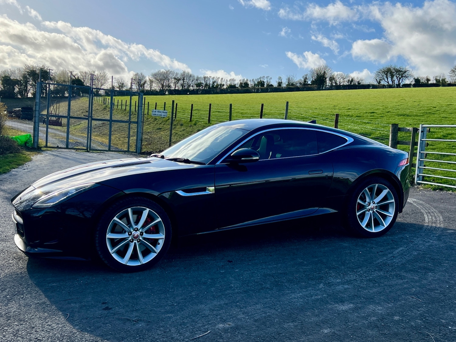 Used Jaguar F-Type 2017 for sale - 77896114: Photo 3