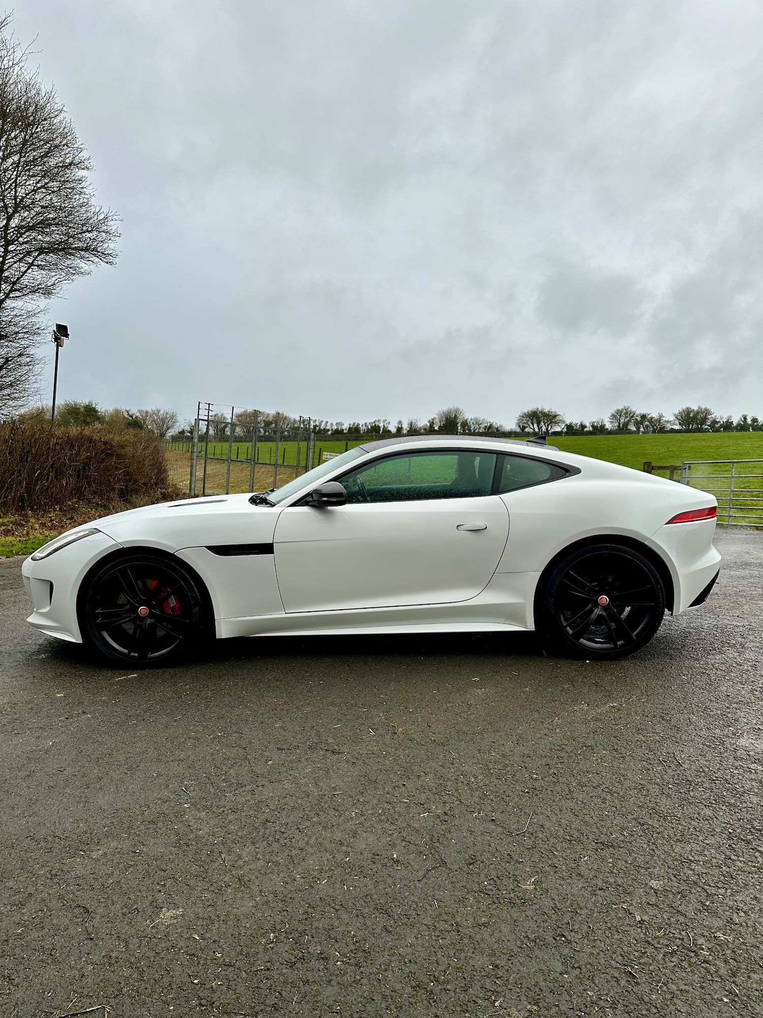 Used Jaguar F-Type 2014 for sale - 77686097: Photo 4