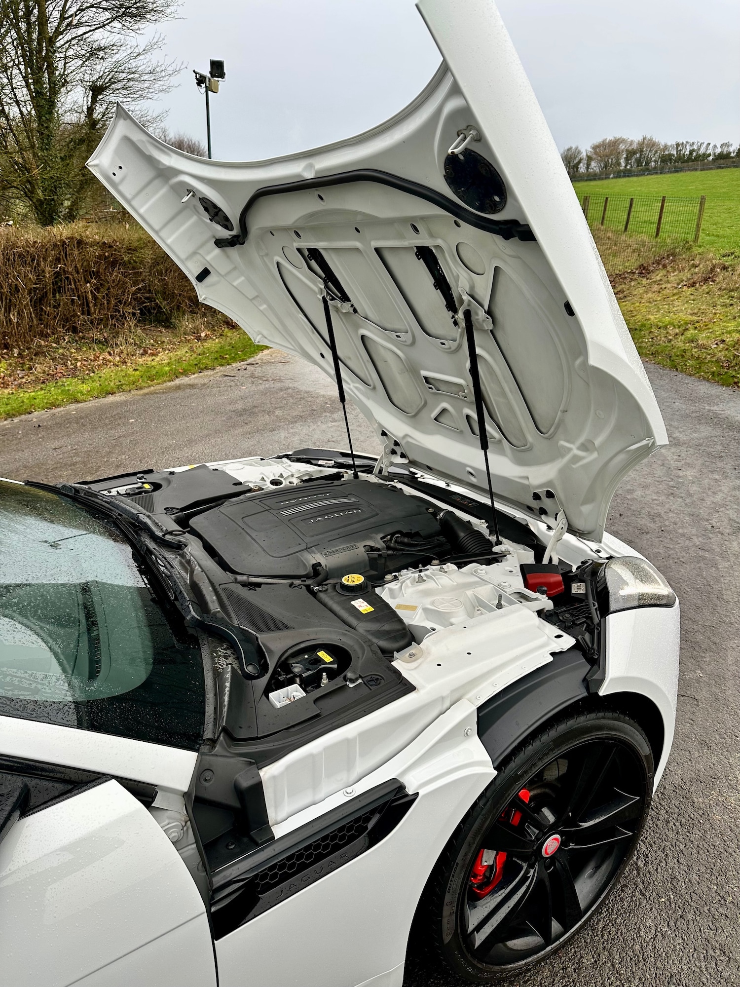 Used Jaguar F-Type 2014 for sale - 77686097: Photo 8