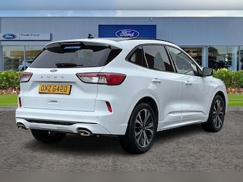 Used Ford Kuga 2020 for sale - 77703130: Photo