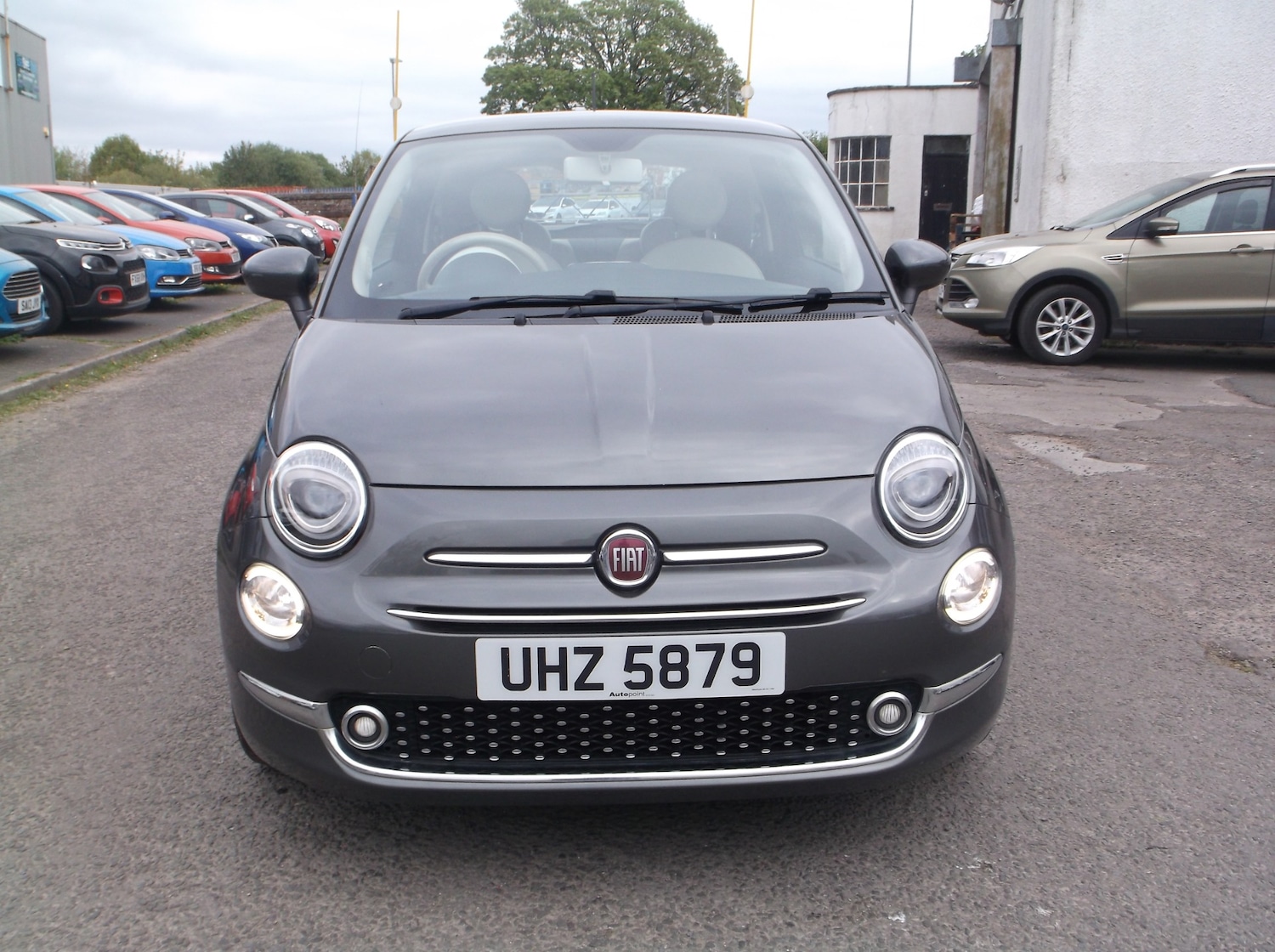 Used Fiat 500 2016 for sale - 77349837: Photo 3
