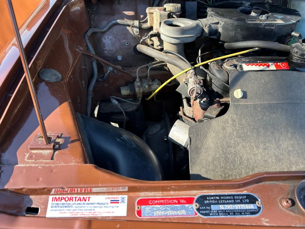 Used Austin Mini 1979 for sale - 77764998: Photo 36