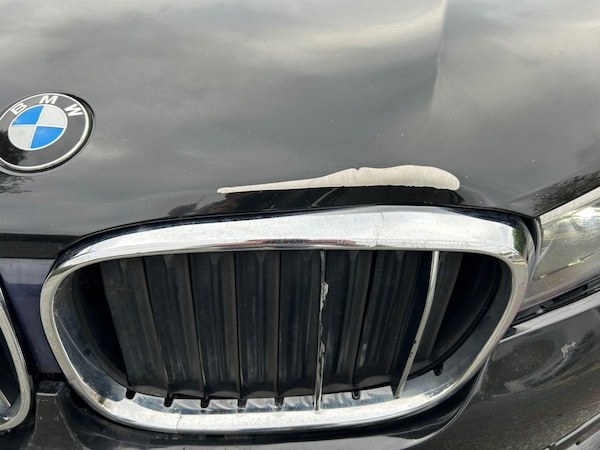 Used BMW 7 Series 2017 for sale - 76291083: Photo 11