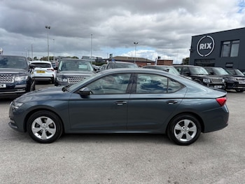 Used Skoda Octavia 2020 for sale - 79350489: Photo