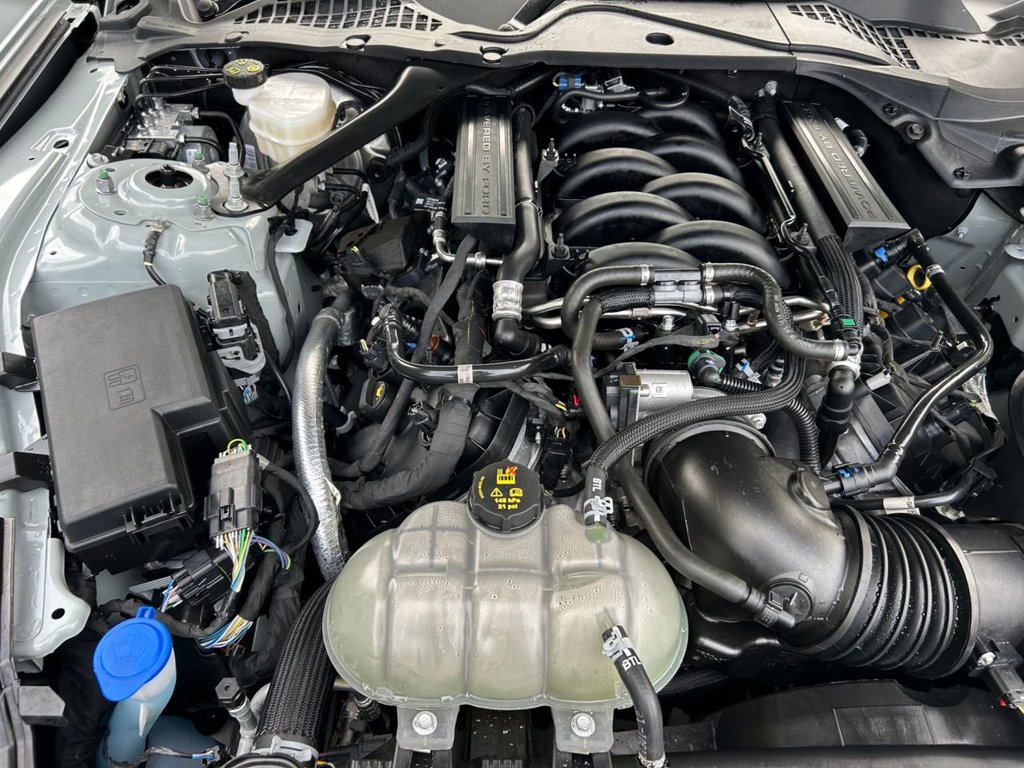 Used Ford Mustang 2021 for sale - 76048136: Photo 25